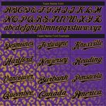 Personalized Purple Black-Old Gold 3D Pattern Design Leopard Print Fade Fashion Authentic Baseball Jersey Team Custom Name and Number