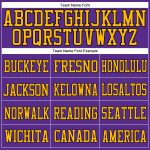 Personalized Purple Gold-Black Mesh Authentic Football Jersey Team Custom Name and Number