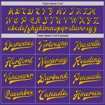 Personalized Purple Gold-Navy Bomber Full-Snap Varsity Letterman Jacket Team Custom Name and Number