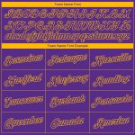 Personalized Purple Gold Side Panel Stars Authentic City Edition Basketball Jersey Team Custom Name and Number