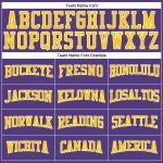 Personalized Purple Gold-White Long Sleeve Performance T-Shirt Team Custom Name and Number