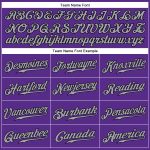 Personalized Purple Gray-Black Authentic Sleeveless Baseball Jersey Team Custom Name and Number