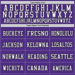 Personalized Purple Gray-Black Mesh Authentic Throwback Football Jersey Team Custom Name and Number