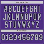 Personalized Purple Gray-Black Pinstripe Authentic Split Fashion Baseball Jersey Team Custom Name and Number