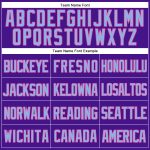 Personalized Purple Light Blue-Pink Mesh Authentic Throwback Baseball Jersey