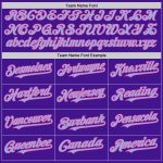 Personalized Purple Light Blue-Pink Mesh Authentic Throwback Baseball Jersey Team Custom Name and Number