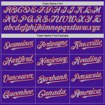 Personalized Purple Light Blue-Red Mesh Authentic Throwback Baseball Jersey Team Custom Name and Number