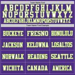 Personalized Purple Neon Green-White Mesh Authentic Throwback Football Jersey Team Custom Name and Number