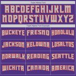 Personalized Purple Orange-Gray Authentic Baseball Jersey Team Custom Name and Number