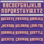 Personalized Purple Orange-Gray Authentic Throwback Rib-Knit Baseball Jersey Shirt Team Custom Name and Number