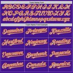 Personalized Purple Orange-Gray Mesh Authentic Throwback Baseball Jersey Team Custom Name and Number