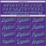 Personalized Purple Sky Blue Black-Pink Bomber Full-Snap Varsity Letterman Two Tone Jacket Team Custom Name and Number