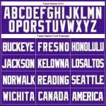 Personalized Purple White-Gray Mesh Authentic Throwback Baseball Jersey