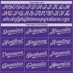 Personalized Purple White-Gray Pinstripe Authentic Split Fashion Baseball Jersey Team Custom Name and Number