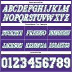Personalized Purple White-Kelly Green Authentic Throwback Basketball Shorts Team Custom Name and Number
