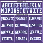Personalized Purple White-Light Blue Long Sleeve Performance T-Shirt Team Custom Name and Number