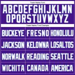Personalized Purple White-Light Blue Mesh Authentic Throwback Baseball Jersey