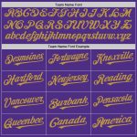Personalized Purple White-Old Gold Pinstripe Authentic Split Fashion Baseball Jersey Team Custom Name and Number
