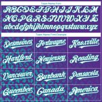Personalized Purple White-Teal 3D Pattern Design Leopard Print Fade Fashion Authentic Baseball Jersey Team Custom Name and Number