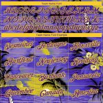 Personalized Purple Yellow 3D Pattern Design Sun Beach Hawaii Palm Trees Performance T-Shirt Team Custom Name and Number