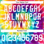 Personalized Rainbow For Pride Month Love Wins LGBT Performance T-Shirt Team Custom Name and Number