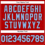 Personalized Red Light Blue-Steel Gray Performance T-Shirt Team Custom Name and Number
