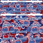 Personalized Red Royal-White 3D American Flag Patriotic Performance T-Shirt