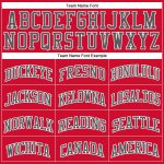 Personalized Red Steel Gray-Black Authentic Throwback Basketball Jersey Team Custom Name and Number