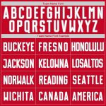 Personalized Red White-Gray Authentic Throwback Rib-Knit Baseball Jersey Shirt Team Custom Name and Number