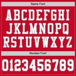Personalized Red White-Gray Mesh Authentic Throwback Football Jersey Team Custom Name and Number