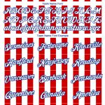 Personalized Red White-Royal 3D American Flag Patriotic Performance T-Shirt Team Custom Name and Number