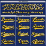 Personalized Royal Gold Hockey Jersey Team Custom Name and Number
