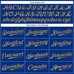 Personalized Royal Gray-Black Authentic Sleeveless Baseball Jersey Team Custom Name and Number