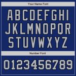 Personalized Royal Gray-Black Authentic Two Tone Baseball Jersey Team Custom Name and Number