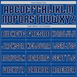 Personalized Royal Gray-Navy Authentic American Flag Fashion Baseball Jersey Team Custom Name and Number