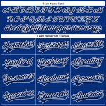 Personalized Royal Gray-Navy Performance Vapor Golf Polo Shirt Team Custom Name and Number