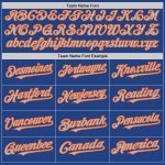 Personalized Royal Gray-Orange Mesh Authentic Throwback Baseball Jersey Team Custom Name and Number