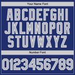 Personalized Royal Gray-White Line Authentic Baseball Jersey Team Custom Name and Number