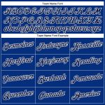 Personalized Royal Gray-White Performance T-Shirt Team Custom Name and Number