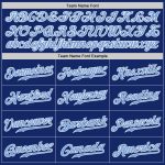 Custom Name and Number Light Blue Gray Authentic Split Fashion Baseball Jersey - Personalized Team Jersey Personalized Royal