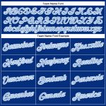 Custom Team Performance T-Shirt with Personalized Name and Number - Light Blue and White Personalized Royal Light Blue-White