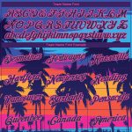 Custom Name and Number 3D Pattern Long Sleeve Performance T-Shirt - Personalized Royal Navy-Pink Hawaii Palm Trees Design