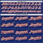 Custom Name Number Royal Orange Light Blue Pinstripe Baseball Jersey Authentic Split Fashion Team Personalized Royal Orange-Light