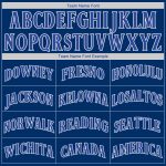 Custom Name & Number Baseball Jersey - Personalized Royal White Authentic Team Jersey Personalized Royal Royal-White Authentic