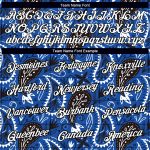 Custom Name Number 3D Floral Design Performance T-Shirt - Personalized Royal White-Black Team Shirt Personalized Royal White-Black