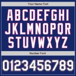 Custom Name Number Personalized Varsity Letterman Jacket Bomber in Royal White Kelly Green Pink Full-Snap Personalized Royal