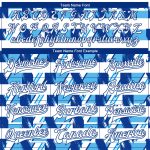 Custom Name Number Bomber Varsity Letterman Jacket 3D Pattern Design in Royal White Light Blue - Personalized Full-Snap Style