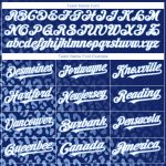 Custom Name Number Baseball Jersey - Personalized Leopard Print Fade with 3D Royal White-Light Blue Design Personalized Royal