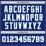 Custom Name Number Authentic Two Tone Baseball Jersey - Personalized Royal White Light Blue Personalized Royal White-Light