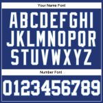 Custom Team Name and Number Long Sleeve Performance T-Shirt - Personalized Royal White-Light Blue Personalized Royal White-Light